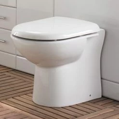 Nuie Back To Wall Toilet With Soft Close Seat -Nuie Sales Store Back to Wall Toilet with Soft Close Seat d1 460